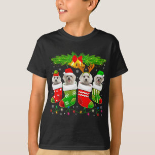 Cute Maltese Dog In Sock Christmas Santa Xmas Dog T-Shirt