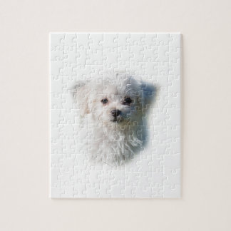 Cute Maltese Dog Jigsaw Puzzle