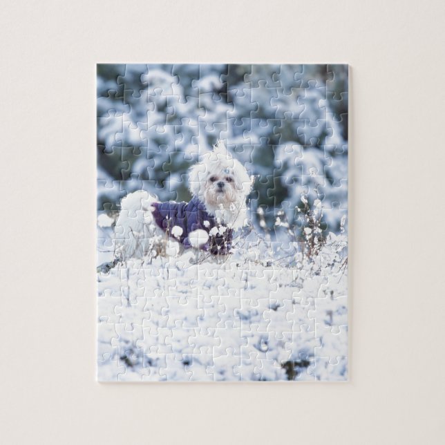 Cute Maltese Dog Jigsaw Puzzle (Vertical)