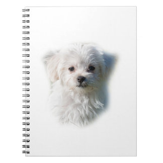Cute Maltese Dog Notebook