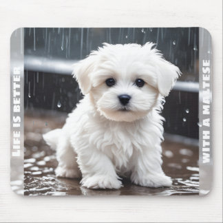 Cute Maltese Dog Puppy Fall Rain Custom Name Mouse Pad