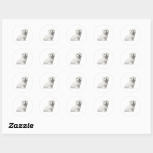 Cute Maltese Dog Sitting Puppy Classic Round Stick Classic Round Sticker