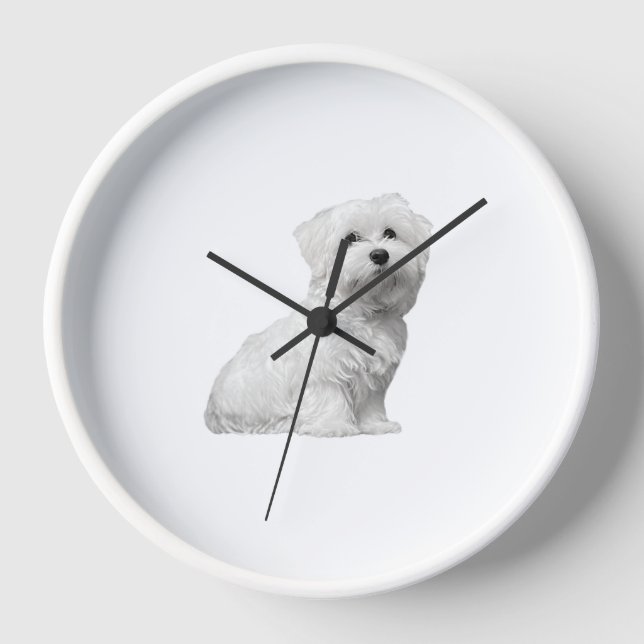 Cute Maltese Dog Sitting Puppy Clock (Front)