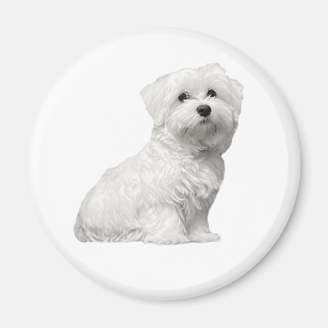 Cute Maltese Dog Sitting Puppy Magnet (Front)