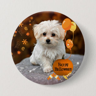 Cute Maltese Puppy Celebrates Halloween  7.5 Cm Round Badge