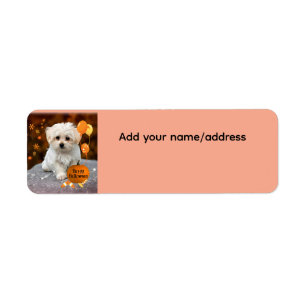 Cute Maltese Puppy Celebrates Halloween  Return Address Label