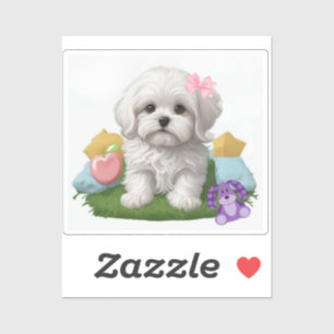 Cute Maltese Puppy Siting with her Toys