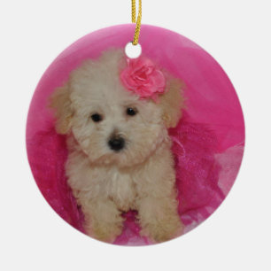 Cute Maltipoo Puppy Ceramic Ornament