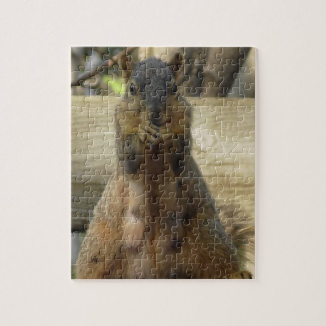 Cute Mama Squirrel eating Nuts Jigsaw Puzzle (Vertical)