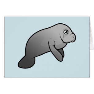 Cute Manatee