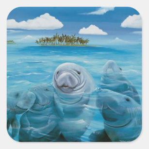 Cute Manatee Glossy Stickers Square