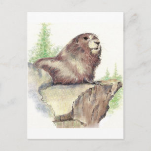 Cute Marmot, Animal Nature, Wildlife Watercolor Postcard
