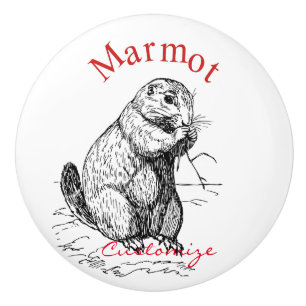 Cute Marmot Animal Thunder_Cove Ceramic Knob
