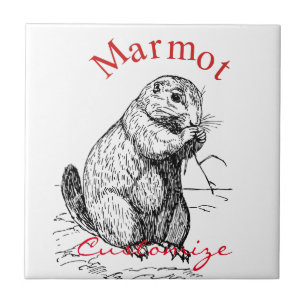 Cute Marmot Animal Thunder_Cove Ceramic Tile