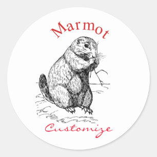 Cute Marmot Animal Thunder_Cove Classic Round Sticker