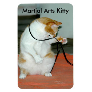 Cute Martial Arts Kitty Flexible Magnet