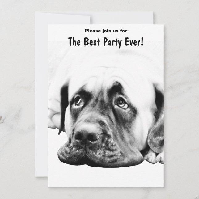 Cute Mastiff dog Invitation (Front)