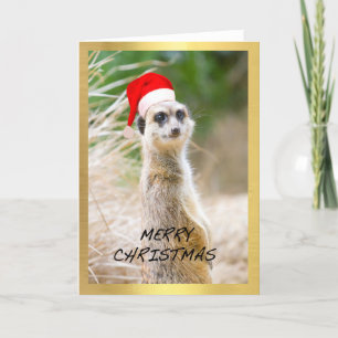 "Cute Meerkat" design Christmas card