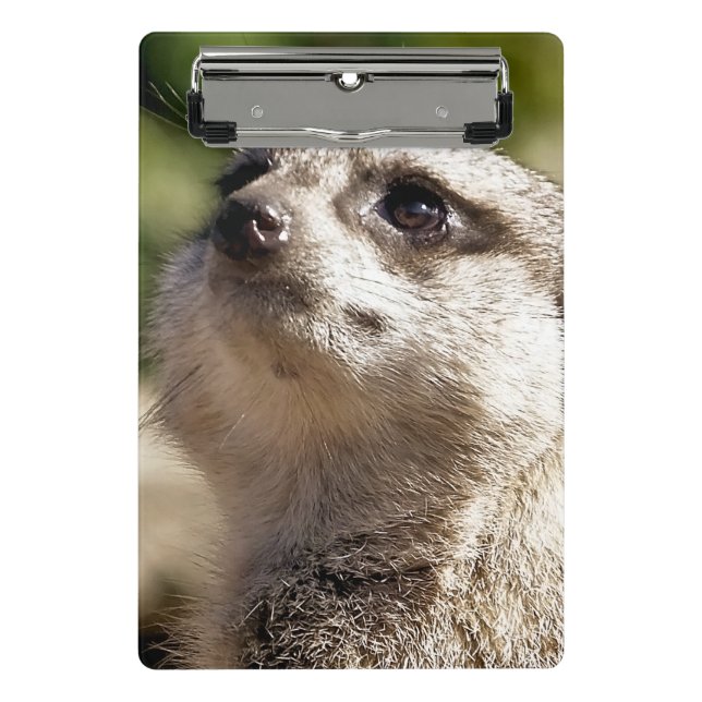 CUTE MEERKAT MINI CLIPBOARD (Front)