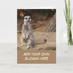 Cute Meerkat Photo to Customise Yourself Card