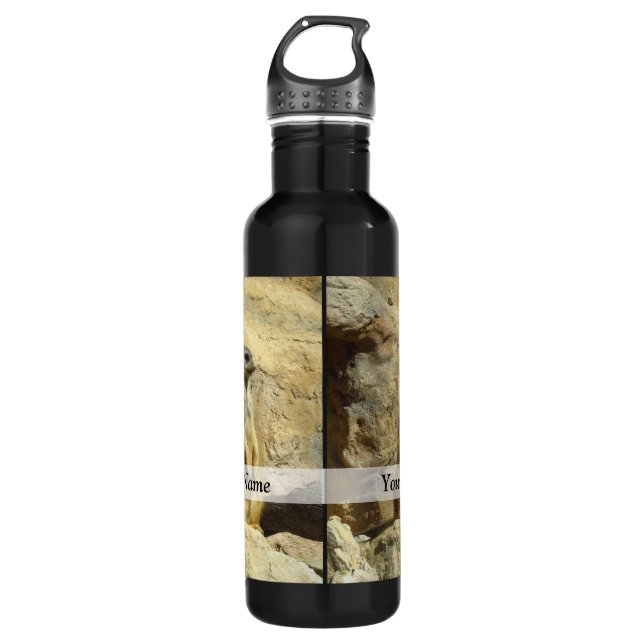 Cute meerkat photograph 710 ml water bottle (Front)