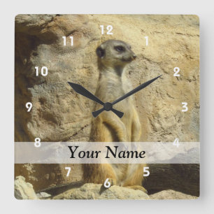 Cute meerkat photograph square wall clock