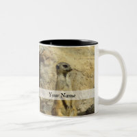 Cute meerkat photograph