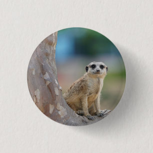 Cute Meerkat Sat on Tree 3 Cm Round Badge