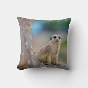 Cute Meerkat Sat on Tree Cushion