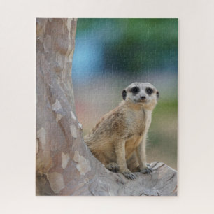 Cute Meerkat Sat on Tree Jigsaw Puzzle