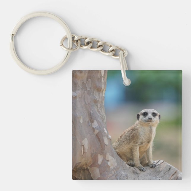 Cute Meerkat Sat on Tree Key Ring (Front)
