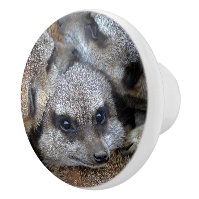 Cute Meerkats Ceramic Knob (Right)