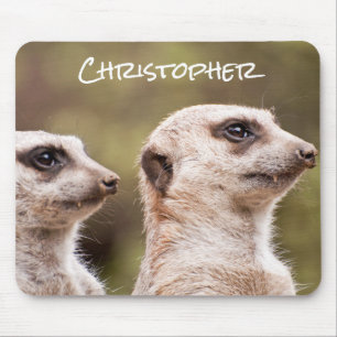 Cute Meerkats Photo Personalized Mouse Pad