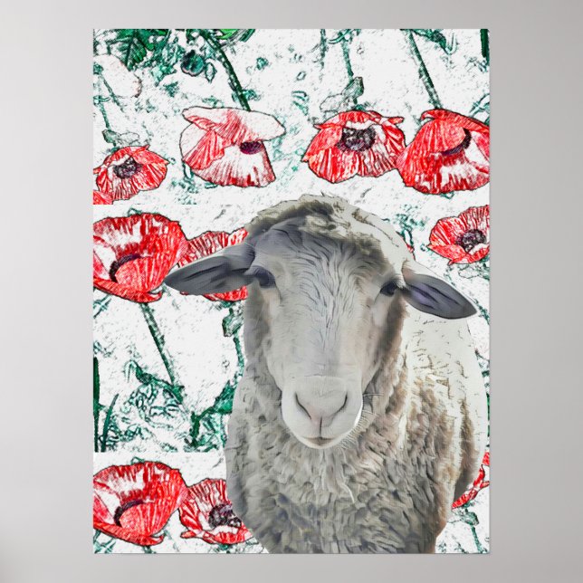 Cute Merino Sheep Animal Red Poppy Flowers Poster (Front)