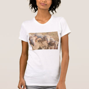 Cute Merino Sheep Family Animals Lamb T-Shirt