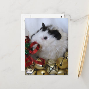Cute Merry Christmas Baby Guinea Pig Postcard