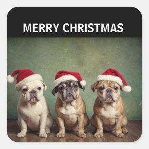 Cute Merry Christmas dogs Square Sticker