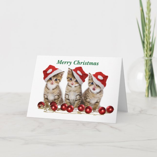 Cute Merry Christmas Kittens Holiday Card (Front)