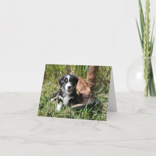 Cute Mini Aussie puppy with cowboy boots Note Card (Front)