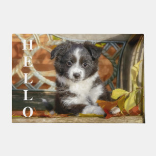 Cute Mini Aussie Shepherd Dog Bi-Colour Puppy Doormat