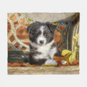 Cute Mini Aussie Shepherd Dog Bi-Colour Puppy _ Fleece Blanket
