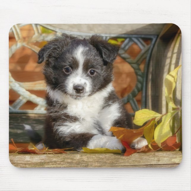 Cute Mini Aussie Shepherd Dog Bi-Colour Puppy Mouse Pad (Front)