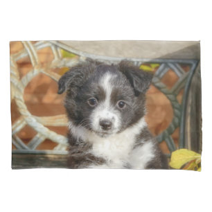 Cute Mini Aussie Shepherd Dog Bi-Colour Puppy - Pillowcase