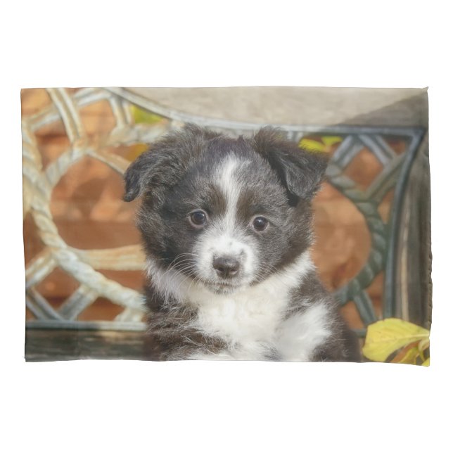 Cute Mini Aussie Shepherd Dog Bi-Colour Puppy - Pillowcase (Front)