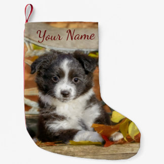 Cute Mini Aussie Shepherd Dog Bi-Colour Puppy - Small Christmas Stocking