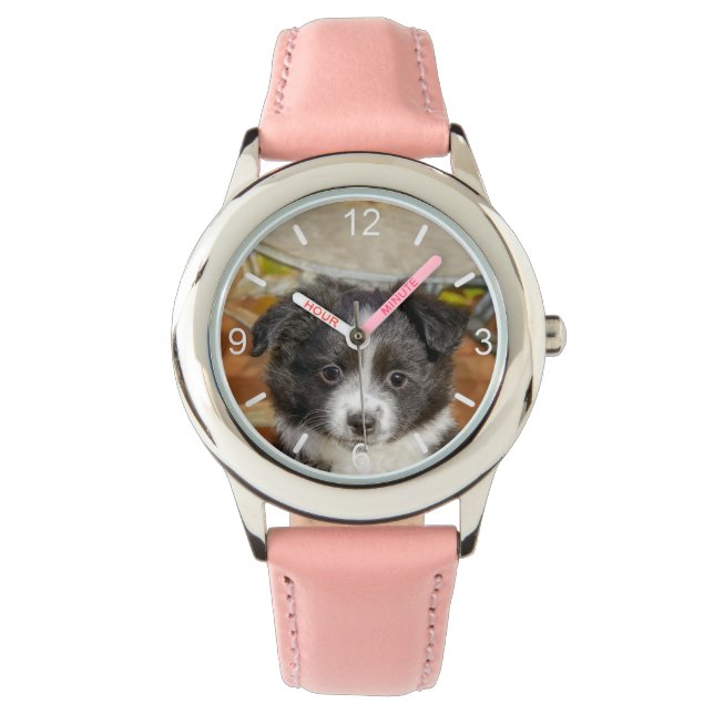 Cute Mini Aussie Shepherd Dog Bi-Colour Puppy - Watch (Front)