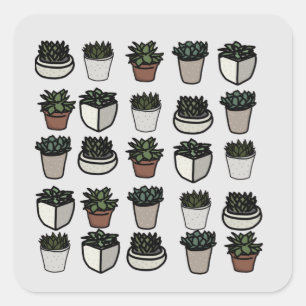 Cute mini succulent pattern square sticker