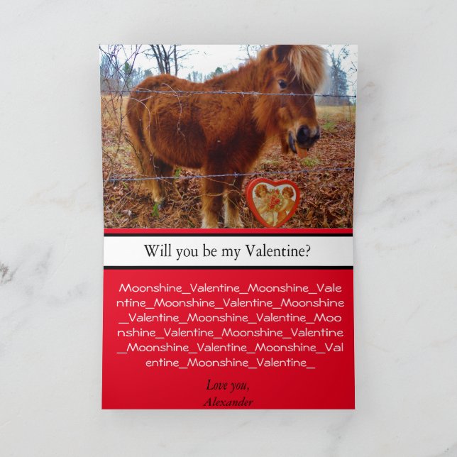 Cute Miniature Horse Valentine Pony and Heart Card (Inside)