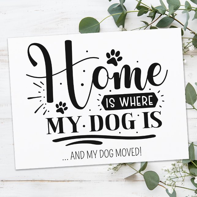 Cute Modern Funny Home Is Where Dog Moving Postcard (Creator Uploaded)