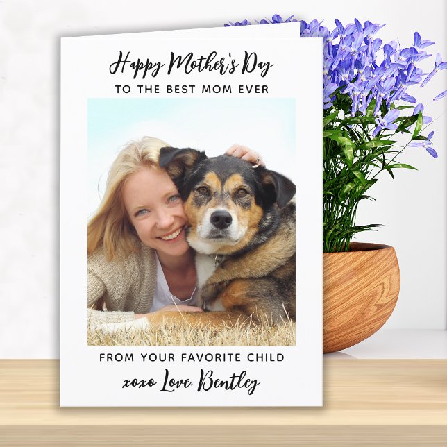 Cute Modern Pet Mum Mother's Day Custom Photo Holiday Card (Creator Uploaded)